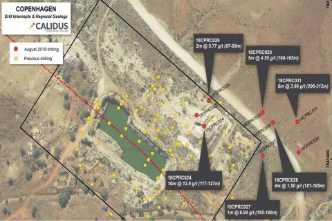 Calidus hits 10m @ 12.8g/t gold in Pilbara