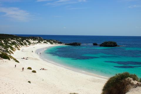 Rotto rejuvenation puts options in play