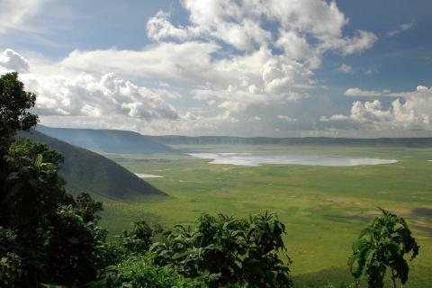 Volt gets nod from Tanzanian Gov for graphite license