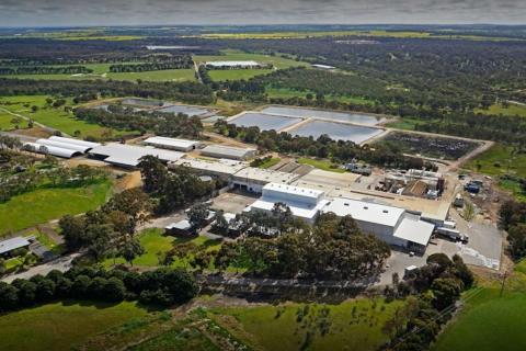 Wammco to install 3MW energy facility