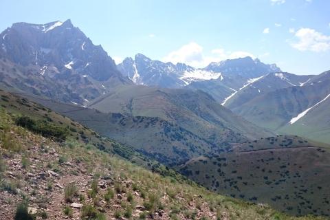 White Cliff plans $2.3m raising