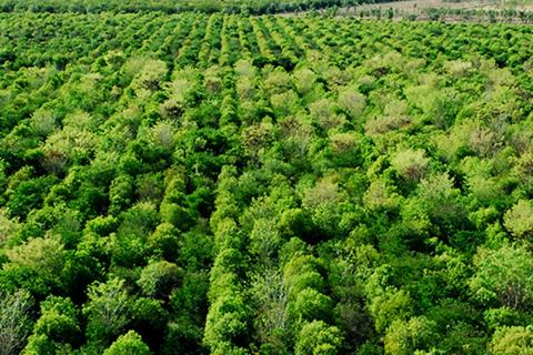 Quintis recapitalisation deal completed