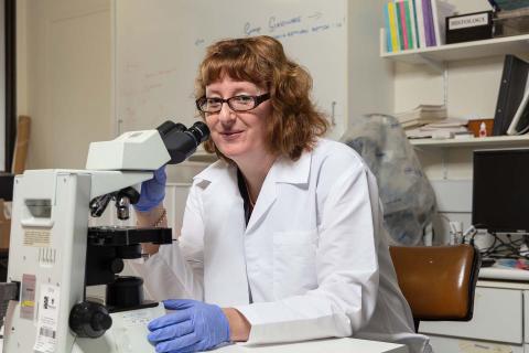 Cold lightning keeps food fresh