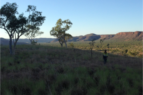 King River flags $2bn+ capex