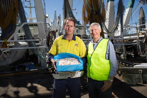 Mareterram flags earnings fall in 2018