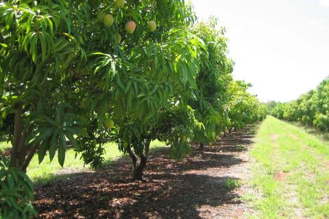 Working holiday visa restrictions relaxed