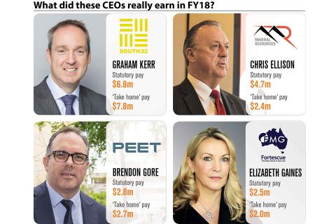 Ellison earns $4.7m, or is it $2.4m?