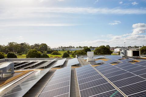 Case for renewables, but coal will power on