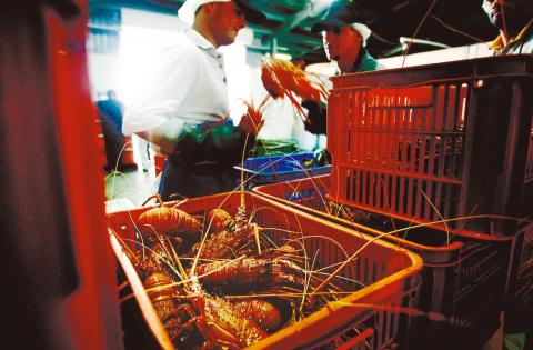 Craying foul: fishing sector pays for past policy mistakes