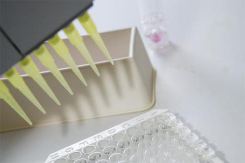 Phylogica on verge of peptide vaccine breakthrough