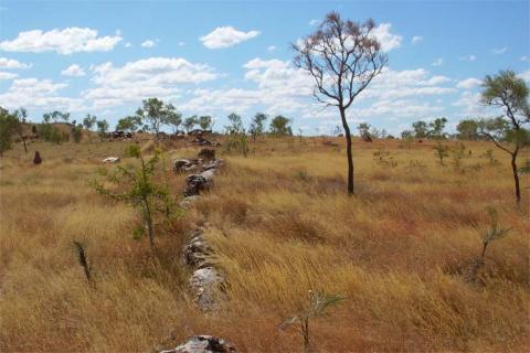 Rods close to turning for Anglo in the Kimberley