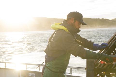 Lobster lobby angling for alternatives