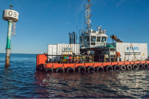 Tams expands into Qld