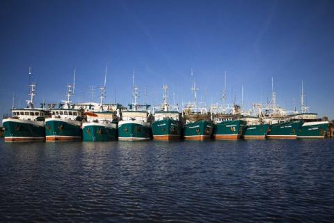 Sea Harvest fishes for takeover of Mareterram