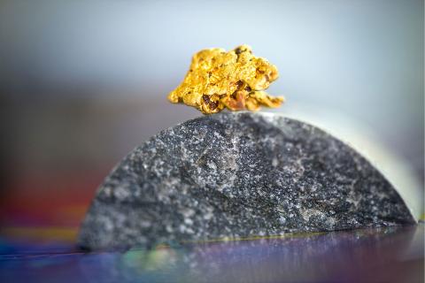 Warburton's Coolgardie into administration