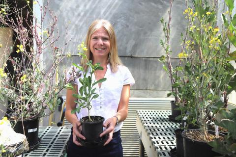 Resistance far from futile with Batley on board