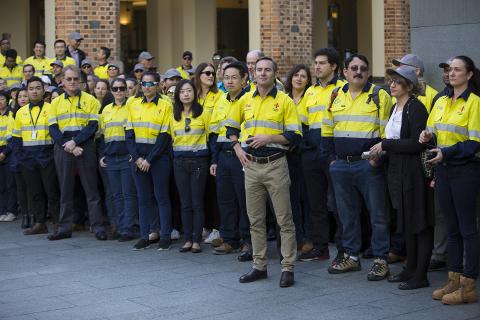 Judge labels Palmer/CITIC dispute a waste