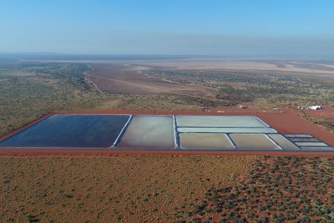 Kalium obtains $102m in funding for Beyondie