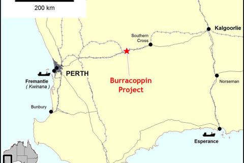 Reedy Lagoon pivots to Southern Cross iron ore play