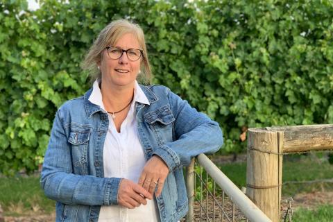 Infrastructure investment, marketing to grow agribusiness