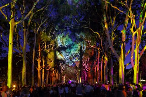 Top marks for Perth Festival