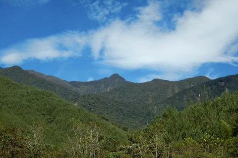 Andes and Metminco set to merge