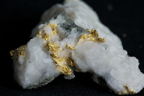 Centennial thrown a lifeline