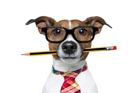 Can the market research industry still be trusted?