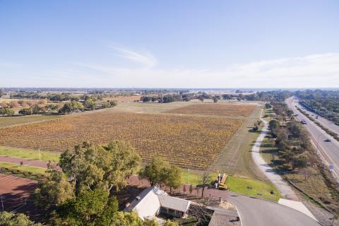 Fogarty lifts wine dominance