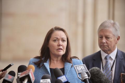 Liza Harvey new Libs leader