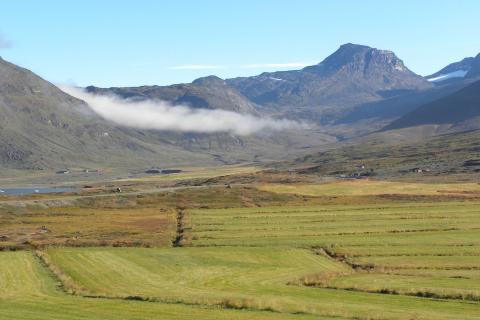 Greenland Minerals raises $7m for Kvanefjeld work