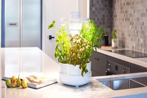 Investment FOMO — can you afford to miss out?