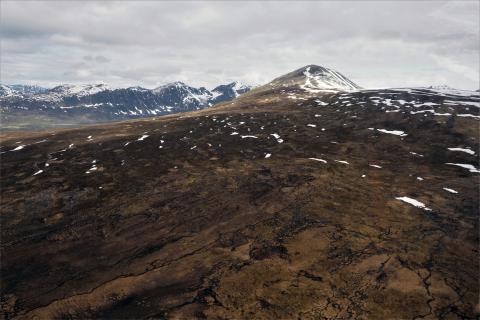 Alaskan porphyry copper target checks out for PolarX