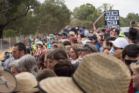 Cockatoos, wetlands on rail route