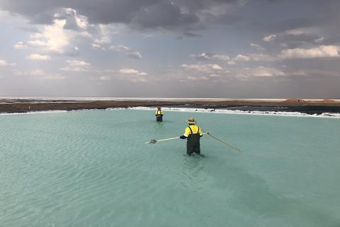 Agrimin raises $8m for Mackay DFS