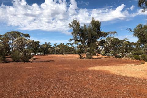 Bardoc Gold seeking $15m