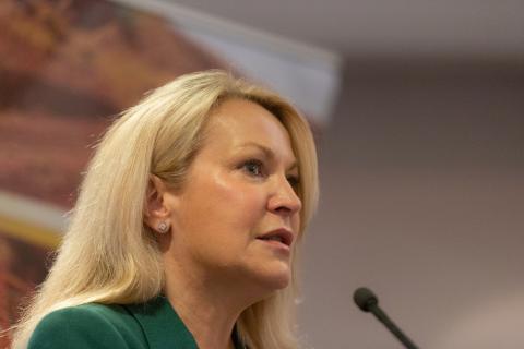 FMG completes $US600m bond offering