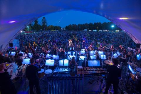 Programmed, Coogee back PSO