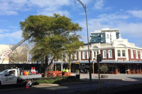 Density, diversity and the new Australian dream