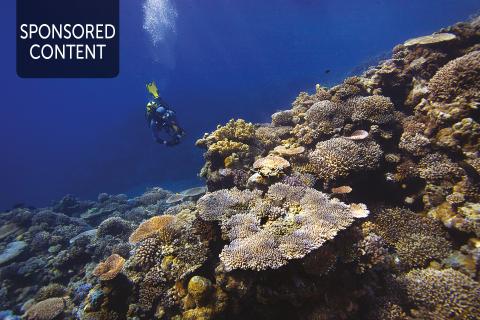 Harnessing the power of our oceans