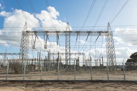 Synergy wins $30m govt contract