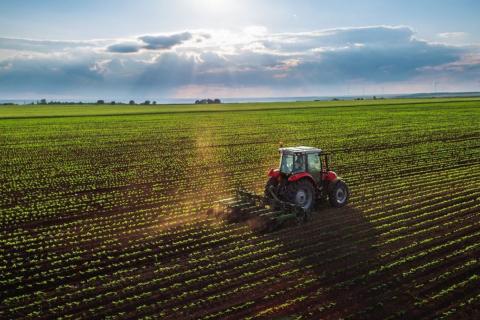 ACCC won't block Elders' $187m AIRR tilt