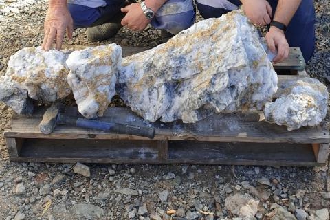 RNC in fresh gold strike