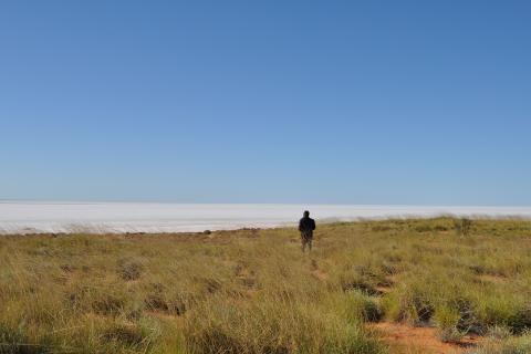 Agrimin, Kalium hit potash milestones