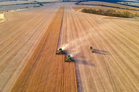 Unpacking the grain drain