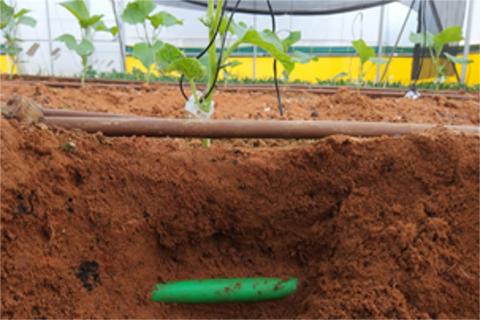 ClearVue/Roots merge greenhouse technology