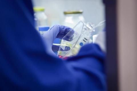 Phylogica to raise $27m