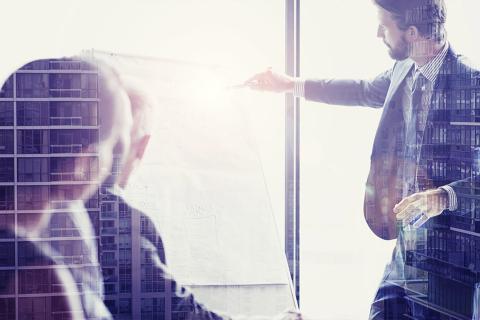 Auditing standards under scrutiny in parliamentary inquiry