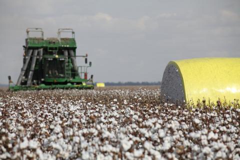 Webster stock soars on $854m Canada buyout