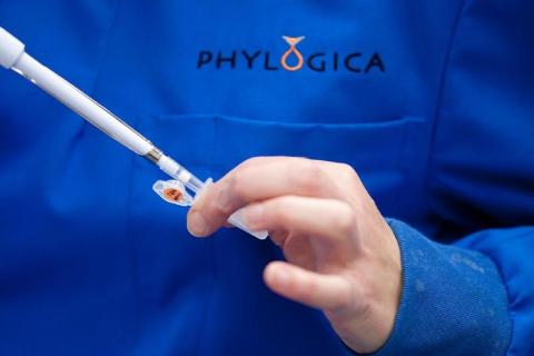 Phylogica invests $15m into Vision Pharma